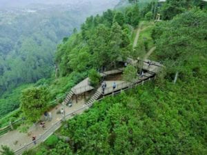 Taman Hutan Raya Ir. H. Djuanda