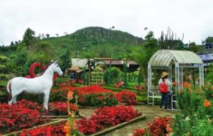 Taman Begonia Lembang