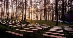Orchid Forest Cikole Lembang