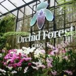Orchid Forest Cikole Lembang